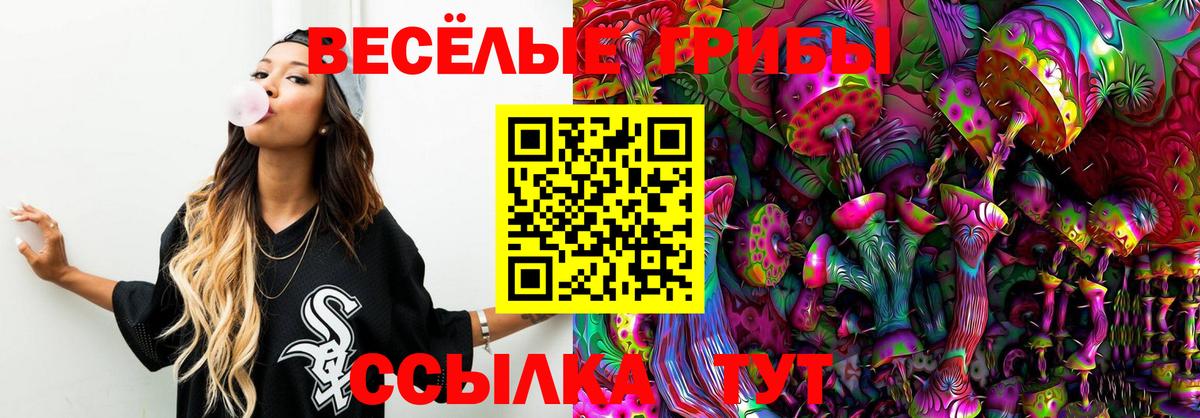 Галлюциногенные грибы GOLDEN TEACHER  Псилоцибиновые грибы GOLDEN TEACHER  Дербент  Вход с VPN 